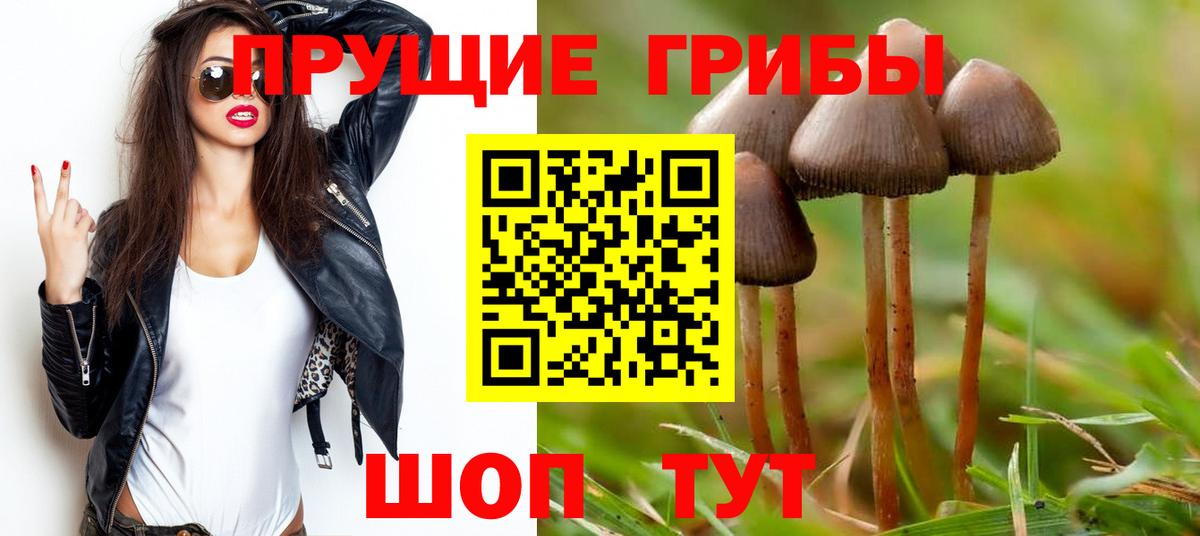 Галлюциногенные грибы Psilocybine cubensis Видное